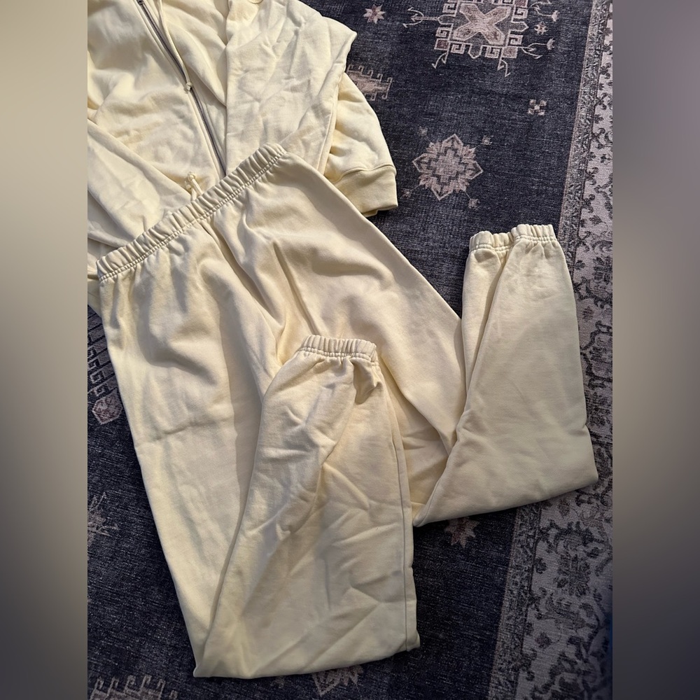 Aritzia TNA Extra Fleece Sweatset - Picture 4 of 8